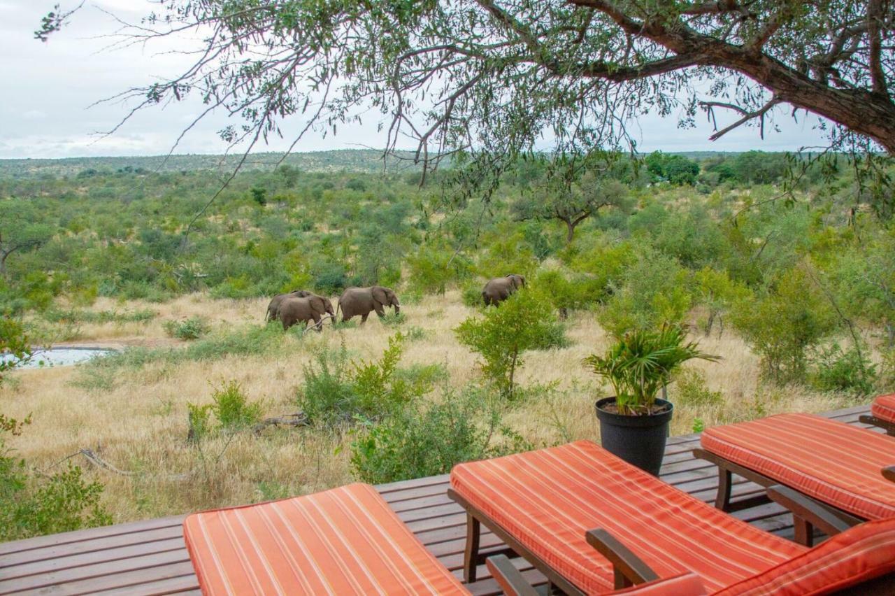 Casart Game Lodge Grietjie Game Reserve Bagian luar foto